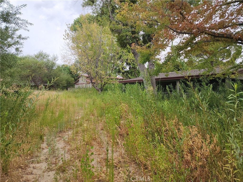 43717 Lake Hughes Road, Lake Hughes, CA 93532 Main Photo