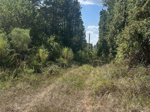 TBD Nevada 290 , Prescott, AR 71857