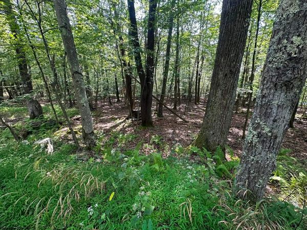 51 Beebalm Court, Terra Alta, WV 26764