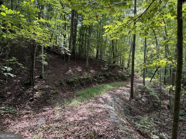 0 Fuller Mountain Road, Fairmount, GA 30139