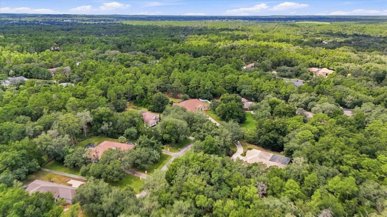 3952 N Baywood Drive, Hernando, FL 34442 Photo