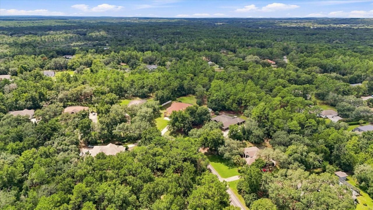 3952 N Baywood Drive, Hernando, FL 34442 Photo