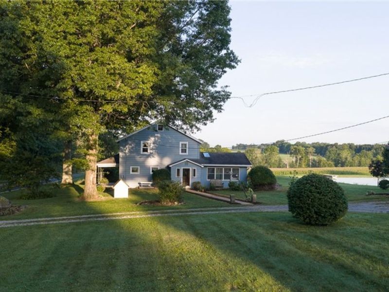 6604 W Middletown Road, Canfield, OH 44406 Photo 3