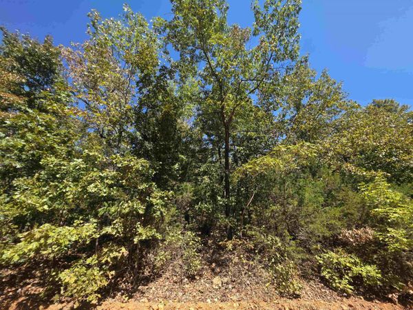 L4E B3 Ridgecrest Drive , Highland, AR 72542