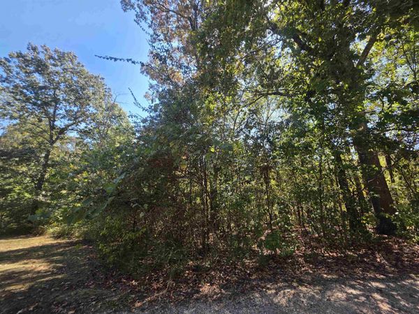 L1 B5 Timberlane Drive , Highland, AR 72542