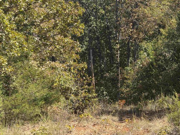 L5 B8 Dannels Drive , Highland, AR 72542