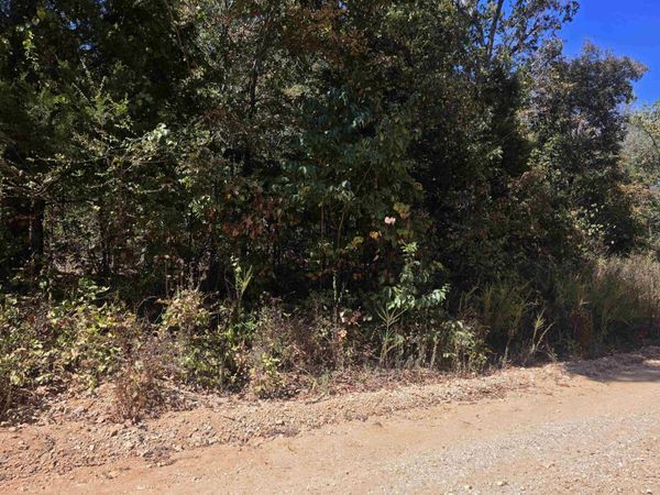 L-1, B-1 Northwood Drive , Highland, AR 72542