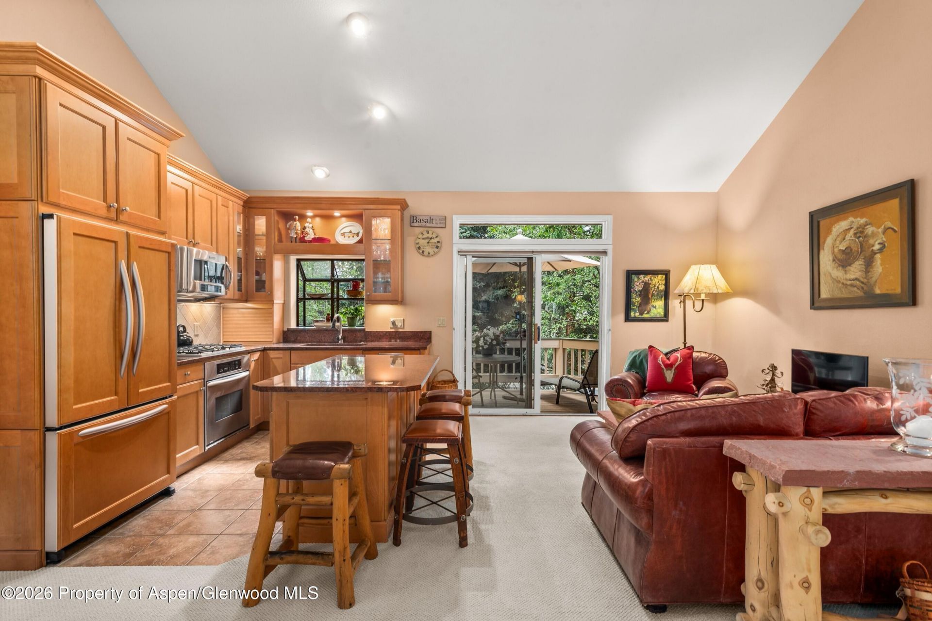 1504 Mockingbird Lane, Basalt, CO 81621 Main Photo