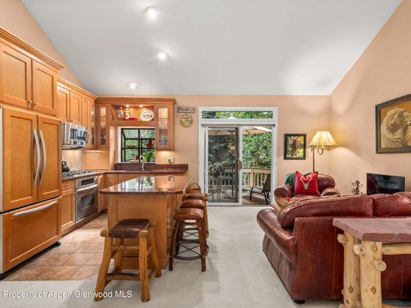 1504 Mockingbird Lane, Basalt, CO 81621