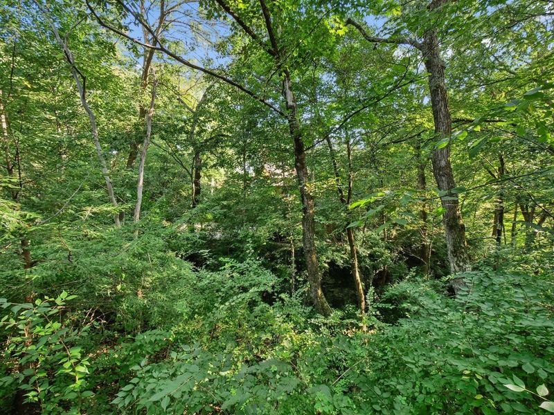 4766 Donegal Cliffs Drive, Dublin, OH 43017 Photo 98
