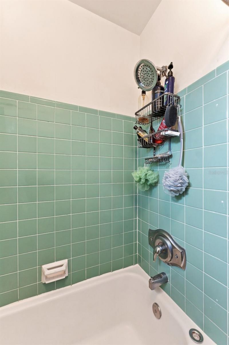 809 E River Drive, Temple Terrace, FL 33617 Photo