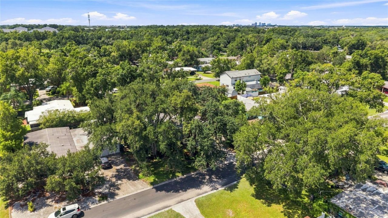 809 E River Drive, Temple Terrace, FL 33617 Photo