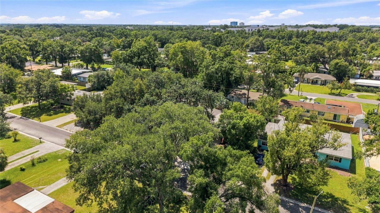 809 E River Drive, Temple Terrace, FL 33617 Photo
