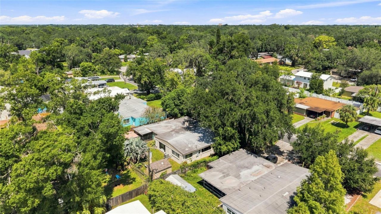 809 E River Drive, Temple Terrace, FL 33617 Photo