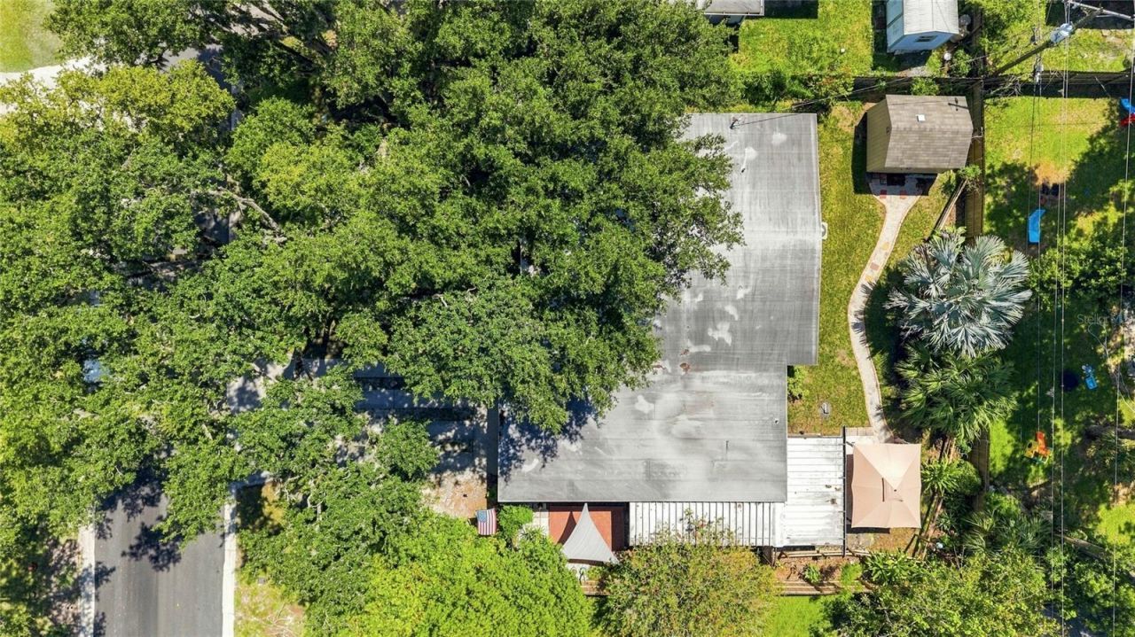 809 E River Drive, Temple Terrace, FL 33617 Photo