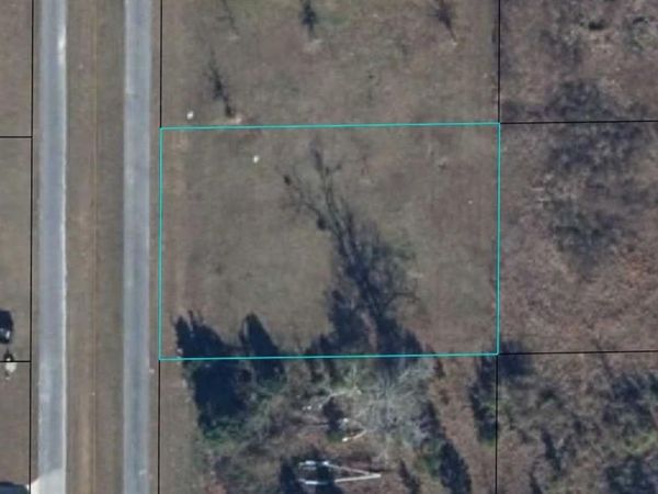 CHARLIE GASKIN DRIVE , WEWAHITCHKA, FL 32465