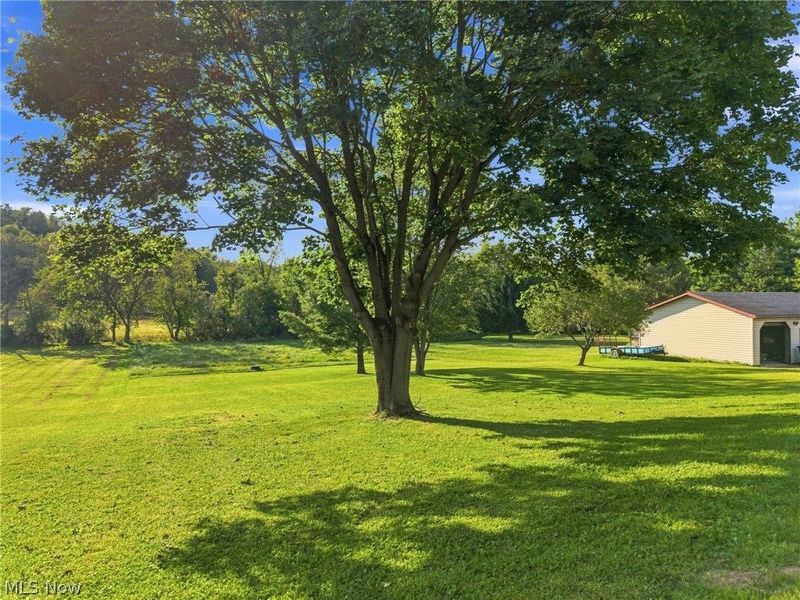 10856 Welton Road NE, Bolivar, OH 44612 Photo 6