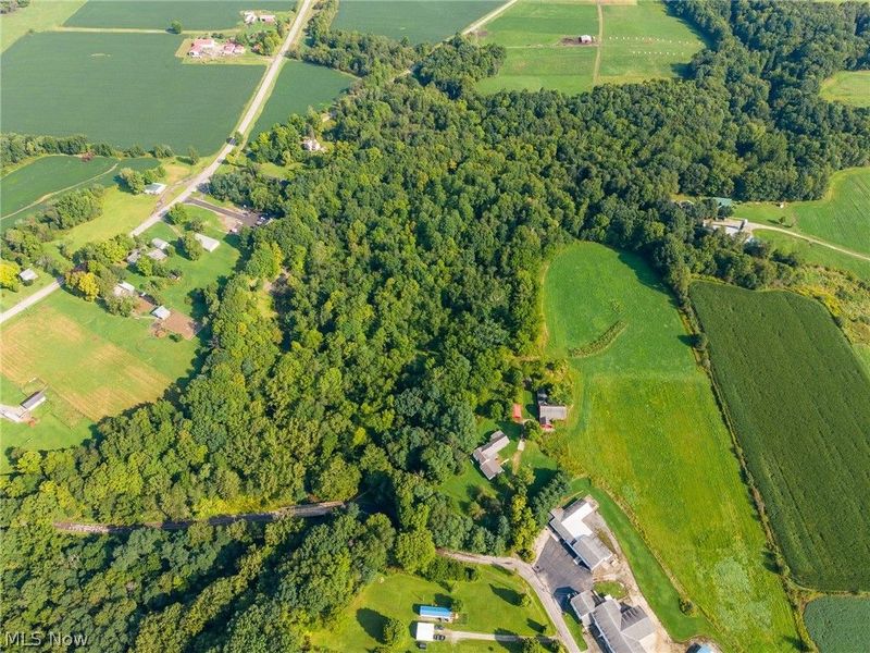 7013 Morford East Road, Kinsman, OH 44428 Photo 29