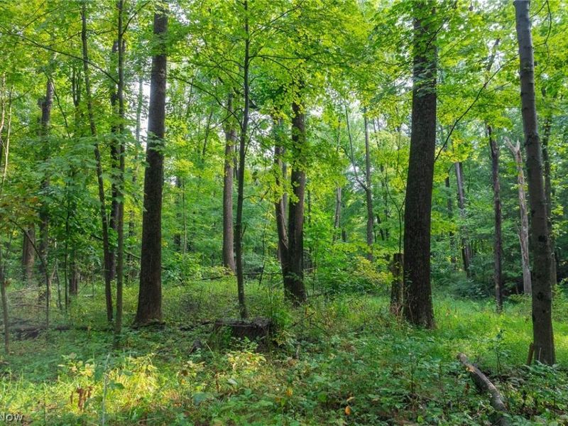 7013 Morford East Road, Kinsman, OH 44428 Photo 39