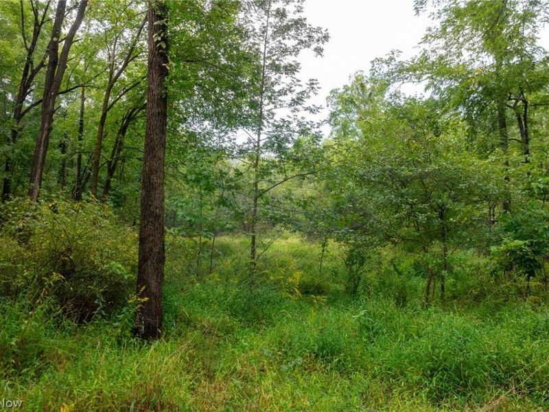 7013 Morford East Road, Kinsman, OH 44428 Photo 44