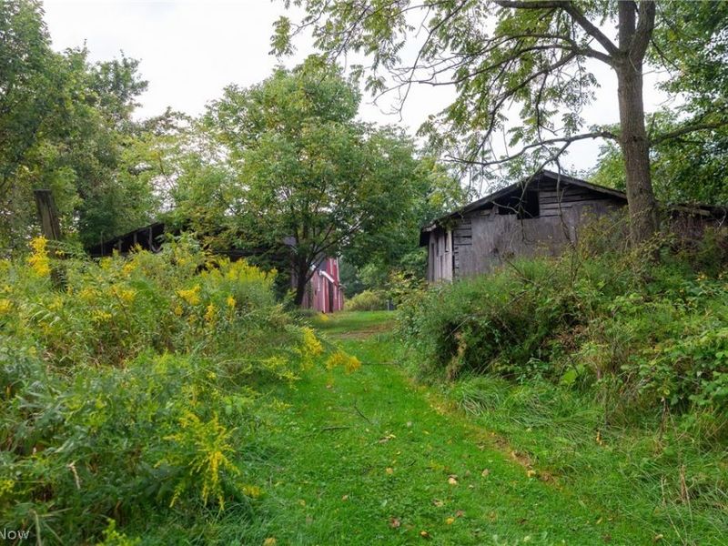 7013 Morford East Road, Kinsman, OH 44428 Photo 47