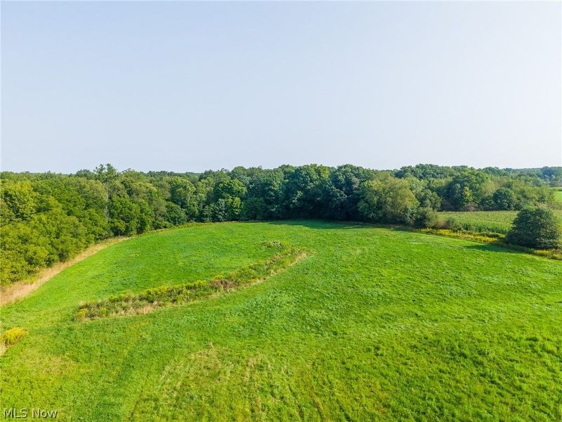 7013 Morford East Road, Kinsman, OH 44428 Photo 5