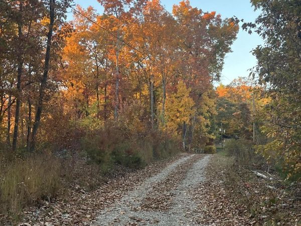 2742 Black Mountain Road Rd , Unit 7, Tellico Plains, TN 37385