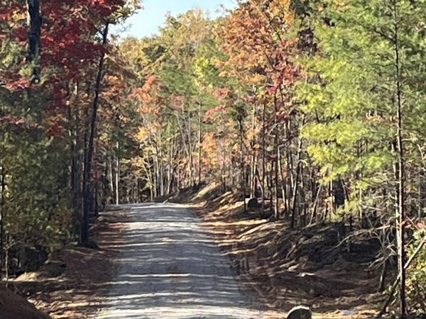 101 Cherokee Path , Unit 101, Tellico Plains, TN 37385