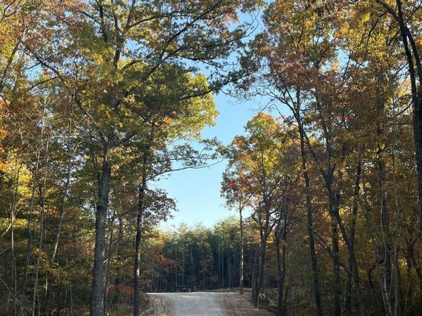 111 Cherokee Path , Unit 111, Tellico Plains, TN 37385