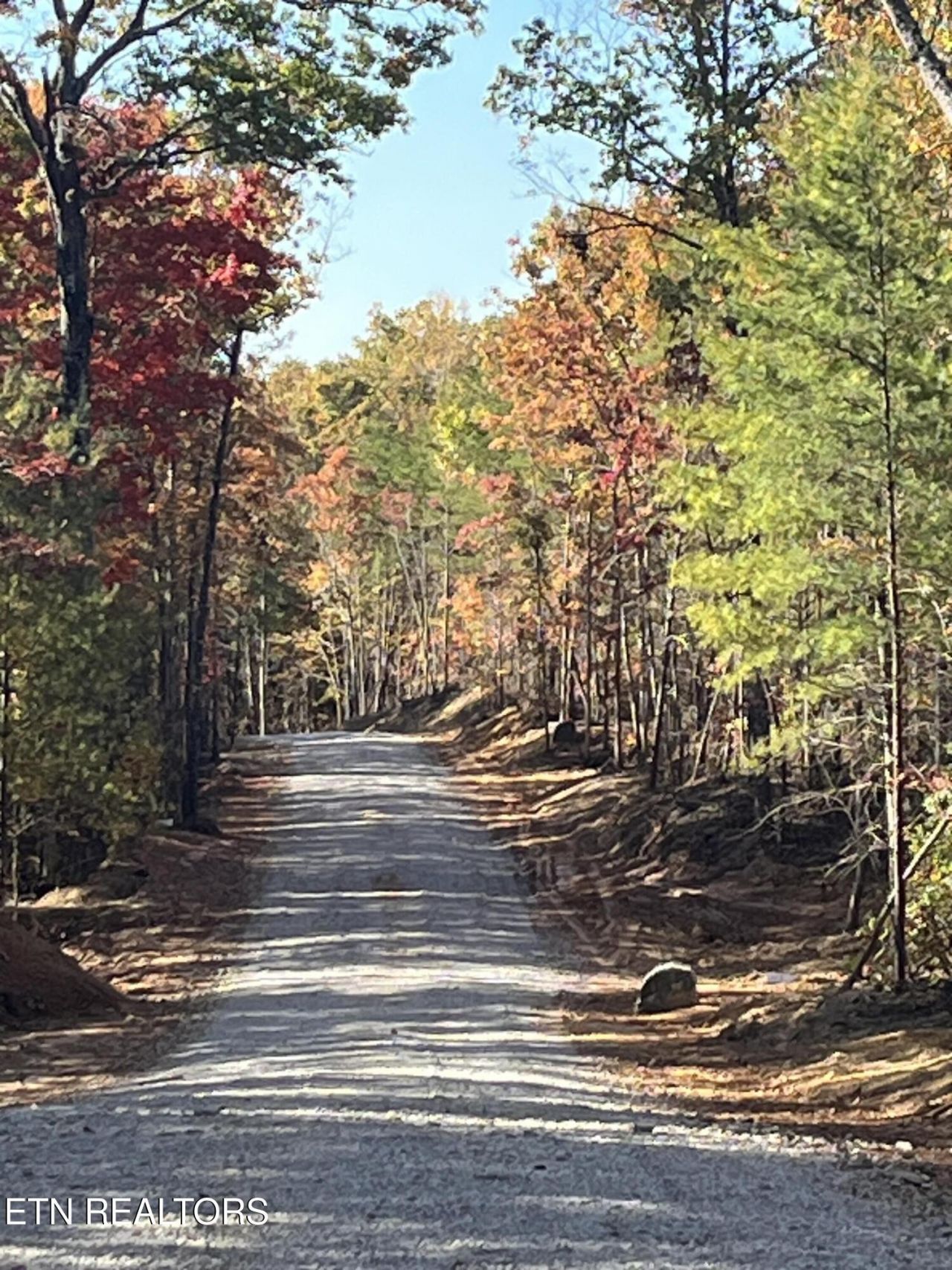 107 Cherokee Path, Lot #107, Tellico Plains, TN 37385 Main Photo