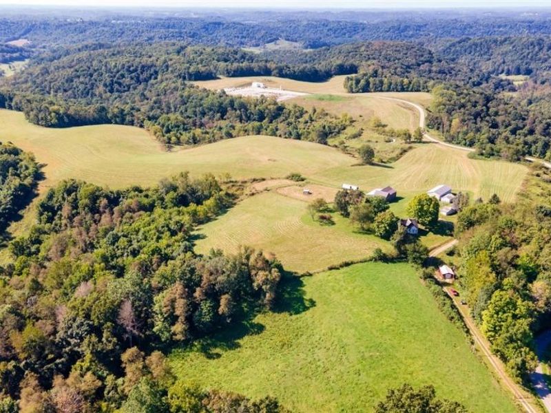 87123 Dodson Road, Scio, OH 43988 Photo 1