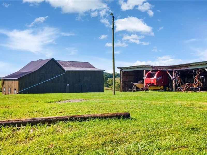 87123 Dodson Road, Scio, OH 43988 Photo 20
