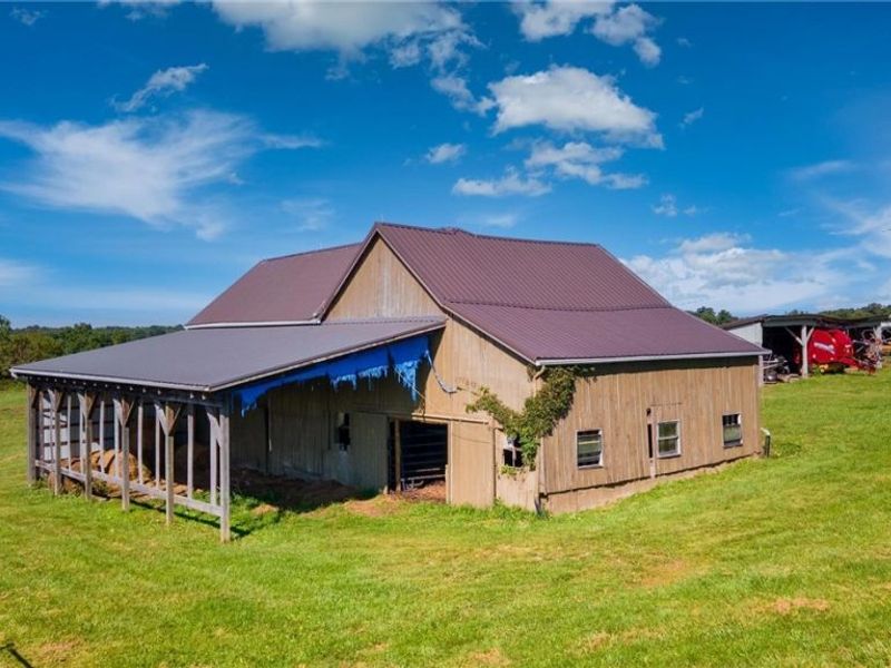 87123 Dodson Road, Scio, OH 43988 Photo 22