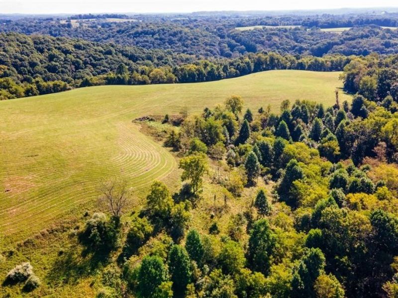87123 Dodson Road, Scio, OH 43988 Photo 25