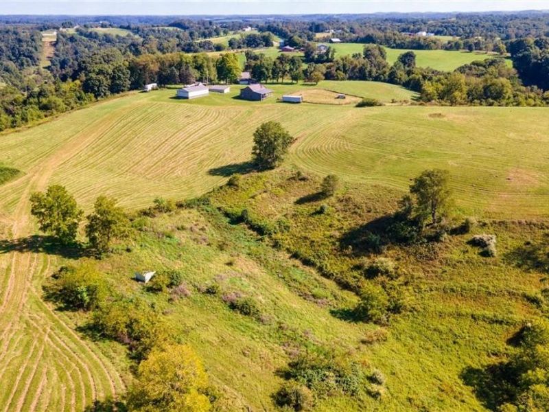 87123 Dodson Road, Scio, OH 43988 Photo 13