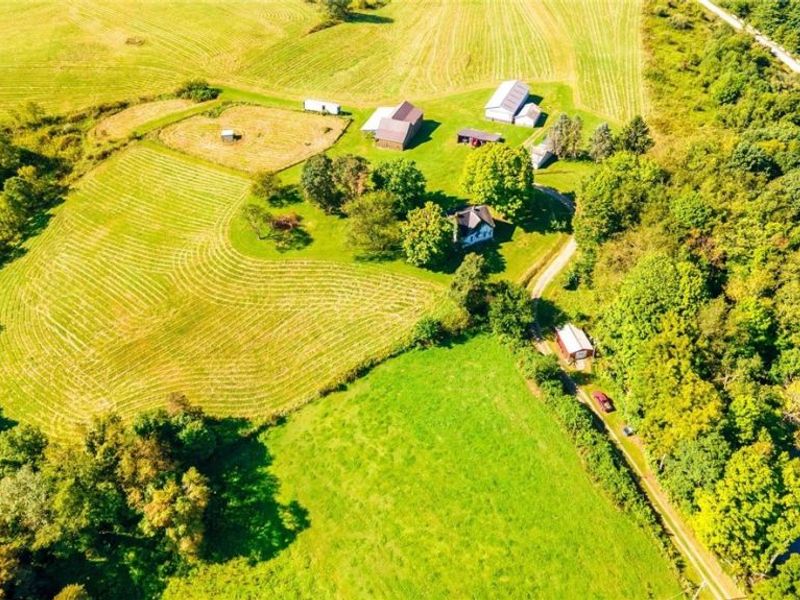 87123 Dodson Road, Scio, OH 43988 Photo 16