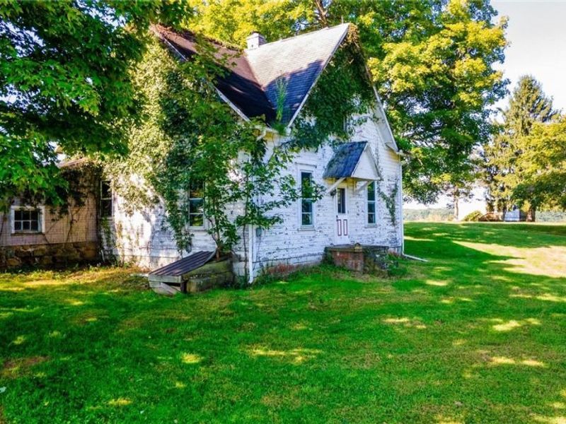 87123 Dodson Road, Scio, OH 43988 Photo 21