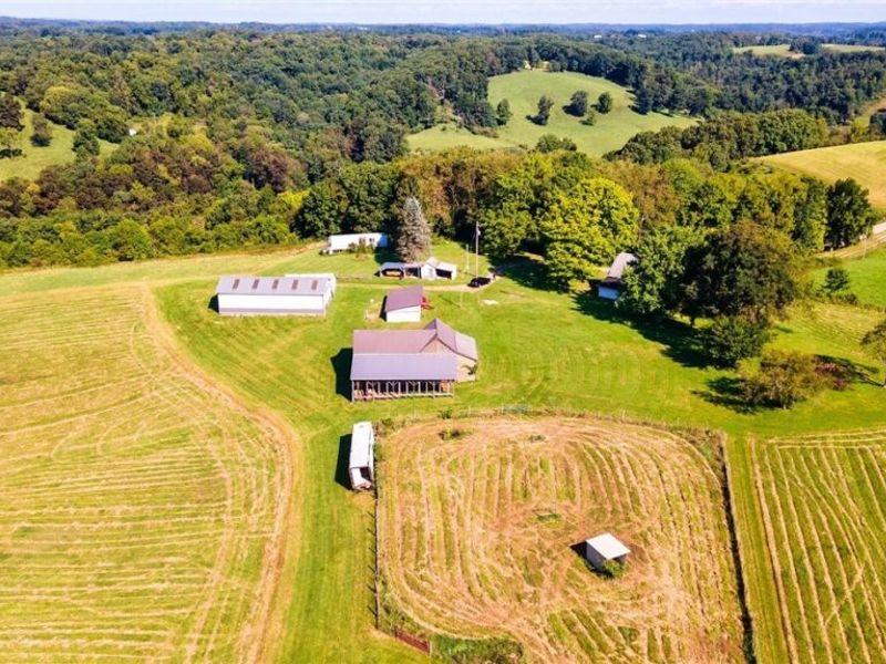 87123 Dodson Road, Scio, OH 43988 Photo 27