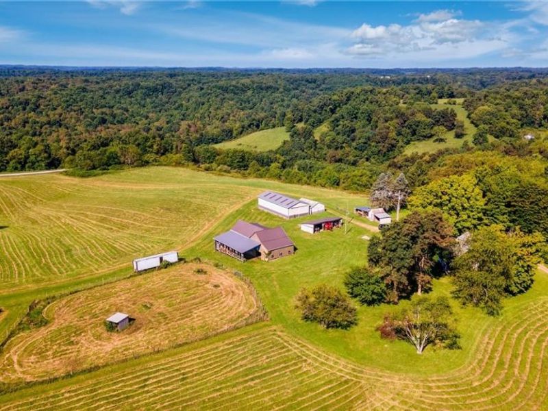 87123 Dodson Road, Scio, OH 43988 Photo 28