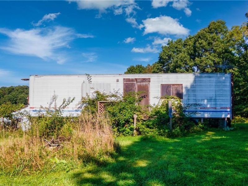 87123 Dodson Road, Scio, OH 43988 Photo 37