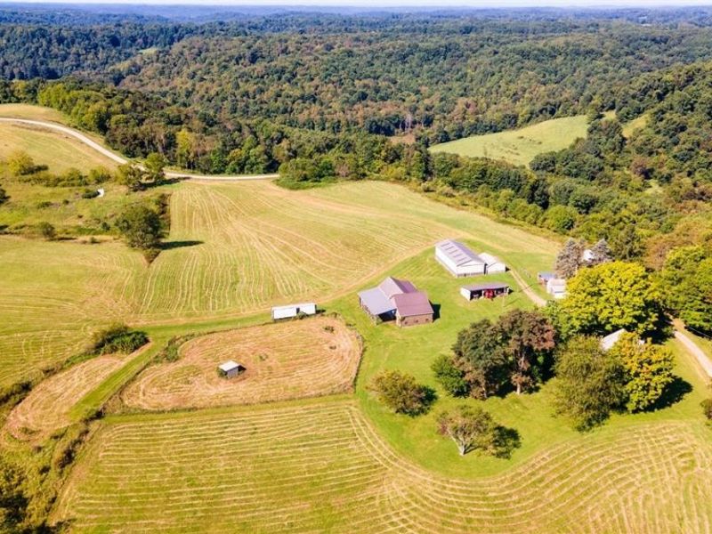87123 Dodson Road, Scio, OH 43988 Photo 39