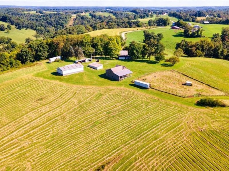 87123 Dodson Road, Scio, OH 43988 Photo 5