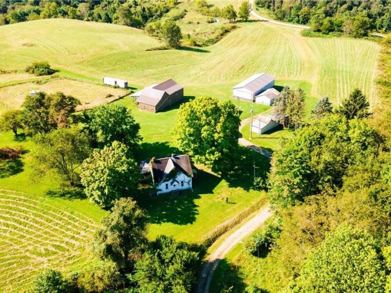 87123 Dodson Road, Scio, OH 43988 Photo 6