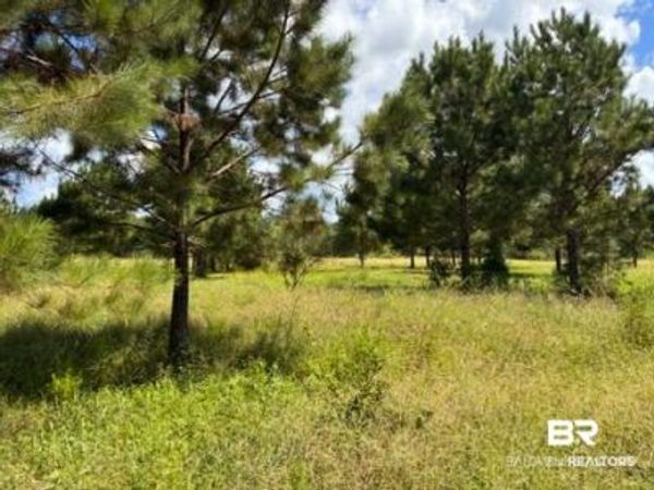 0 Boros Road, Unit parcel C, Elberta, AL 00000
