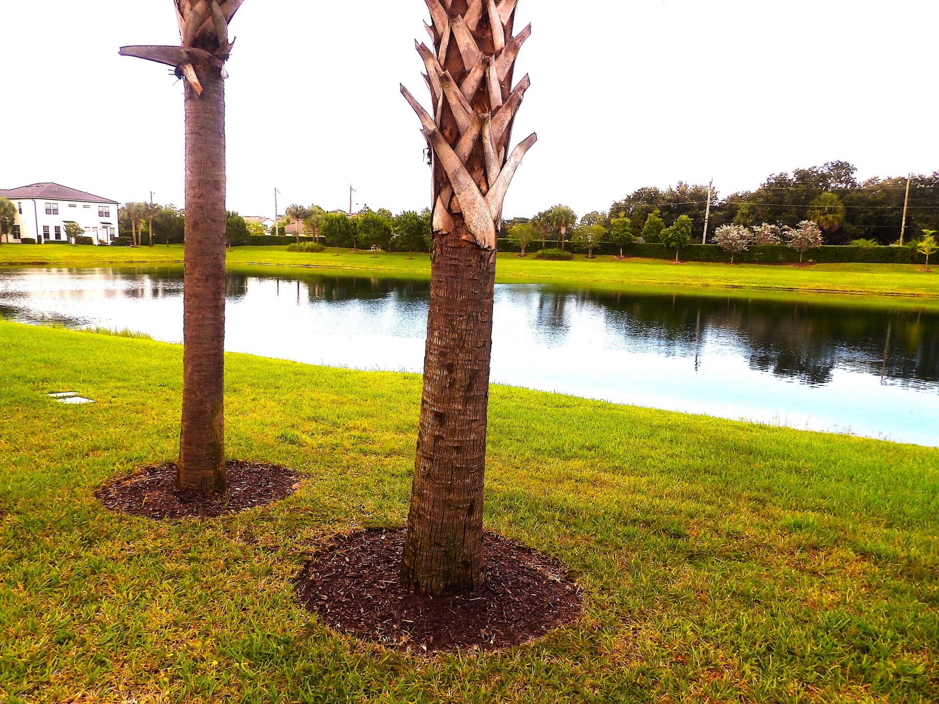 6050 Praza Lane, Greenacres, FL 33415 Photo