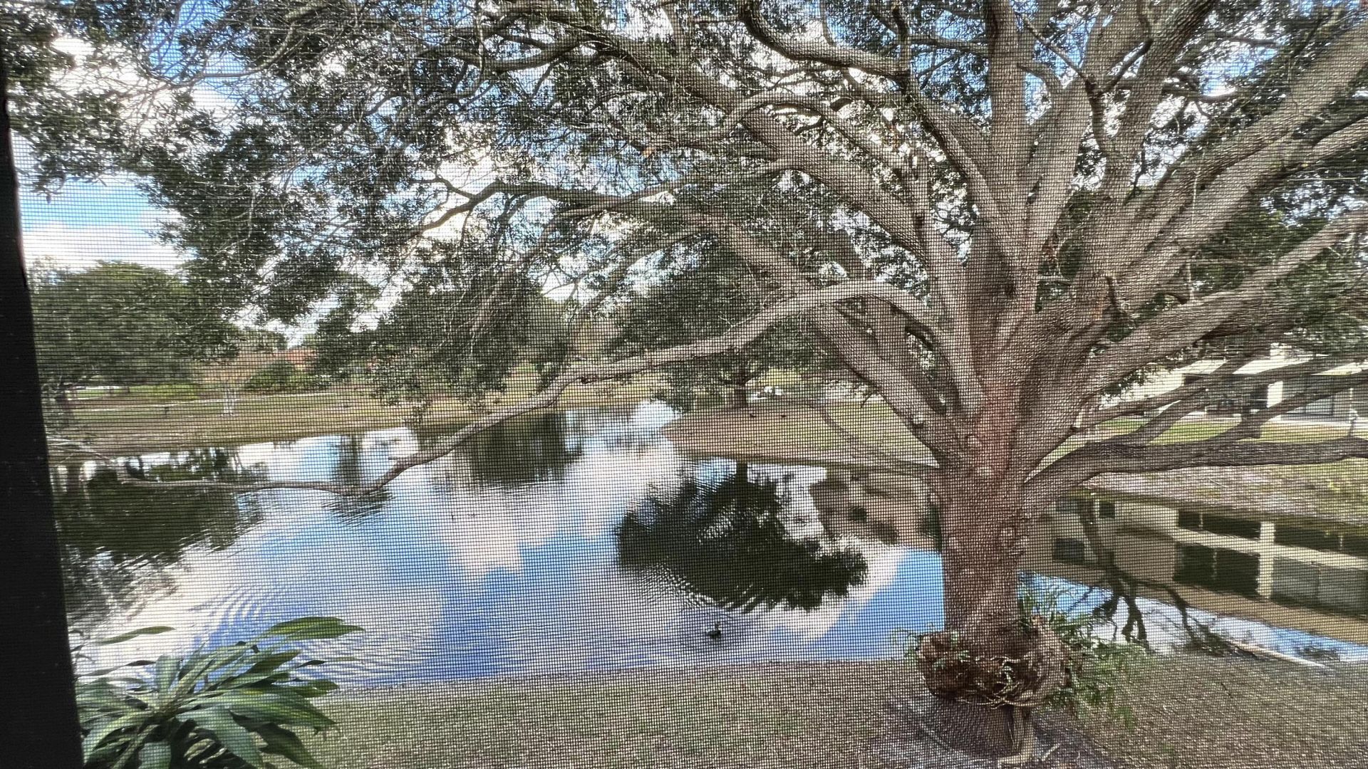 4205 Oak Terrace Drive, Greenacres, FL 33463 Photo