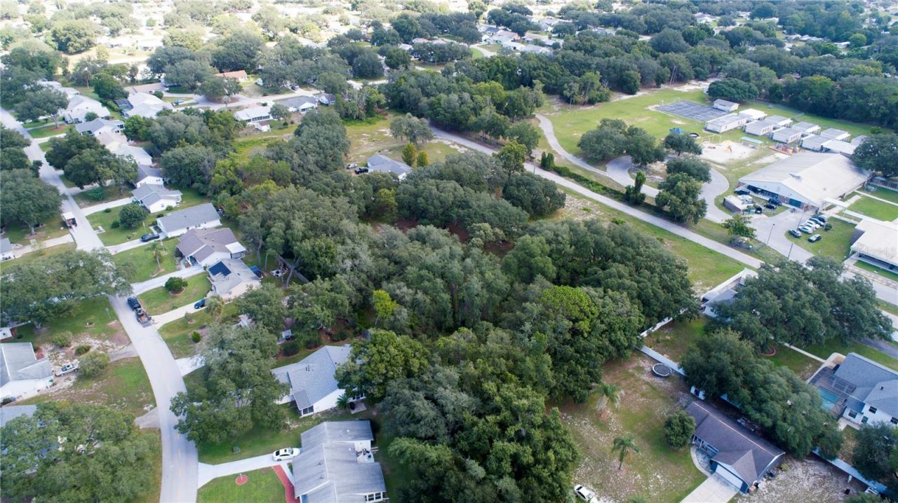 34151 Jaykins Court, Leesburg, FL 34788 Photo