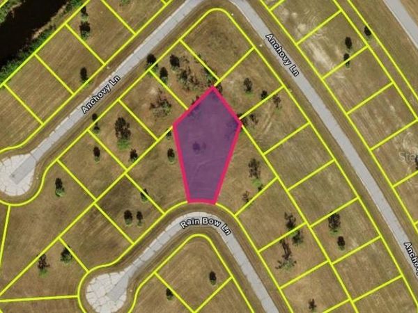 13328 RAINBOW LANE , PLACIDA, FL 33946