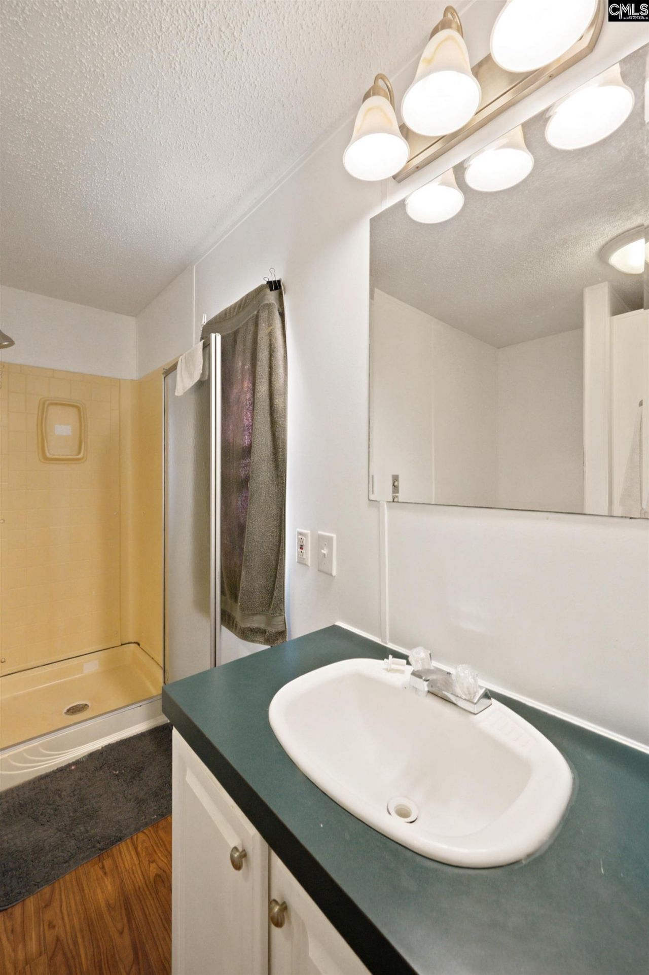 123 Castleville Court Photo 14
