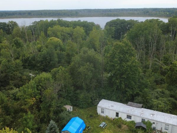 4370 Lake Drive, Prescott, MI 48756